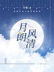 月朗風清小说封面