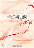 華燈初上時小說封面