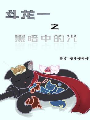 斗龙战士之光明与黑暗的选择