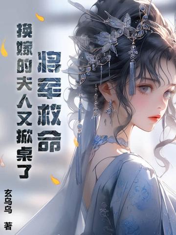 夫人已经改嫁了是什么书