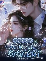 npc玩家