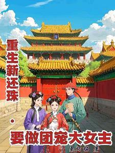 新还珠之后续