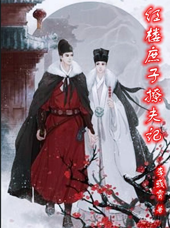 红楼庶子攻略