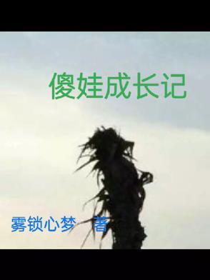 傻孩子故事