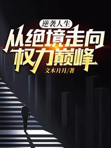 权力巅峰之绝境逆袭