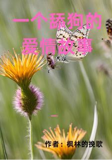 一个舔狗的爱情故事在线阅读