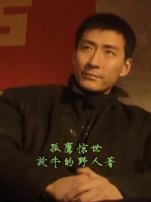 电影孤鹰