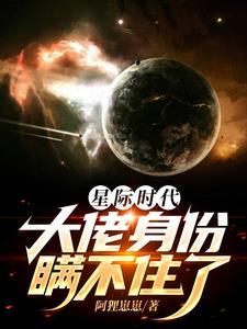 星际时代什么意思