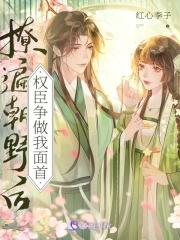 凤髓是什么