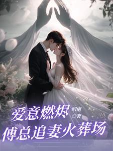 前夫追回前妻的