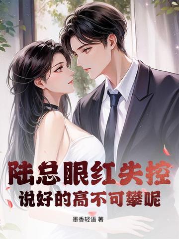 陆总那是什么电视剧