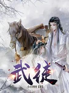 武徒 雪夜星空