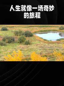 什么叫言情故事