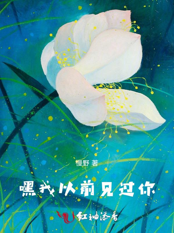 我以前见过你英语