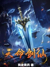 天命之圣剑