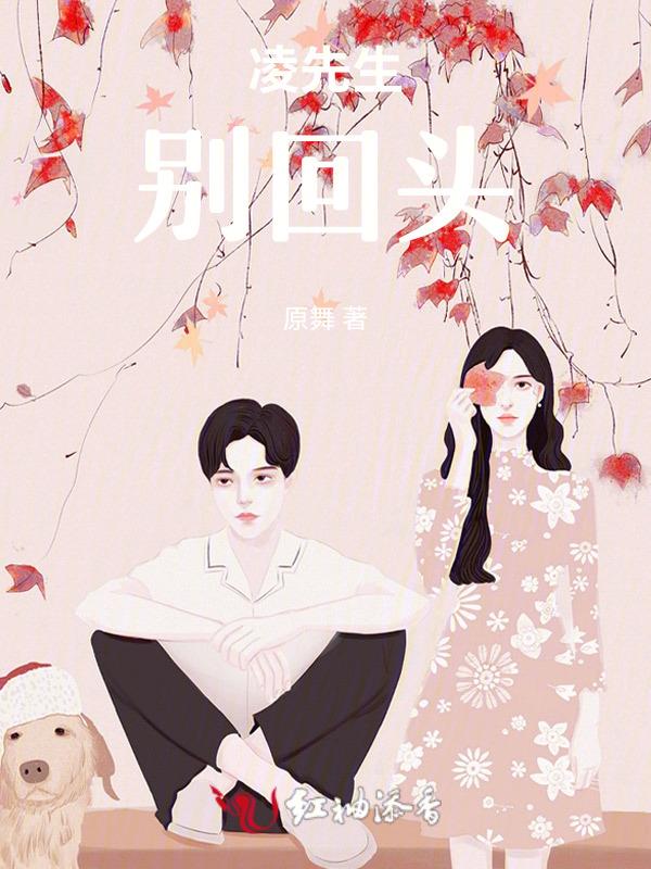 凌先生是哪部电视剧