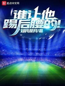 谁让他踢后腰的txt