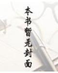 飞镖的折叠方法视频