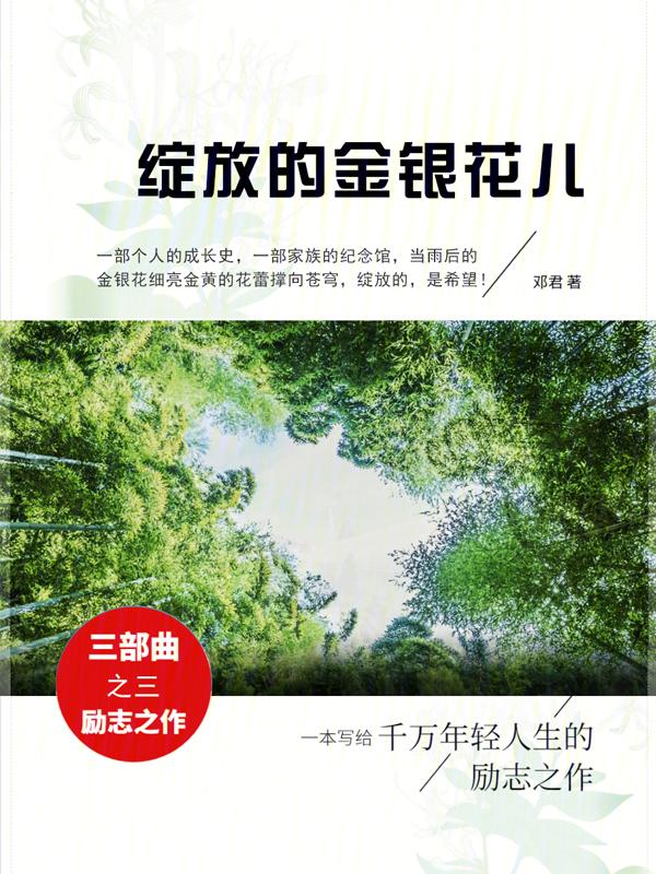 绽放的花儿歌曲