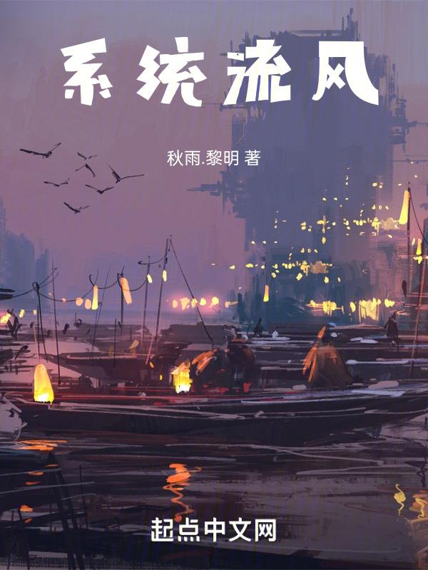 系统流风流