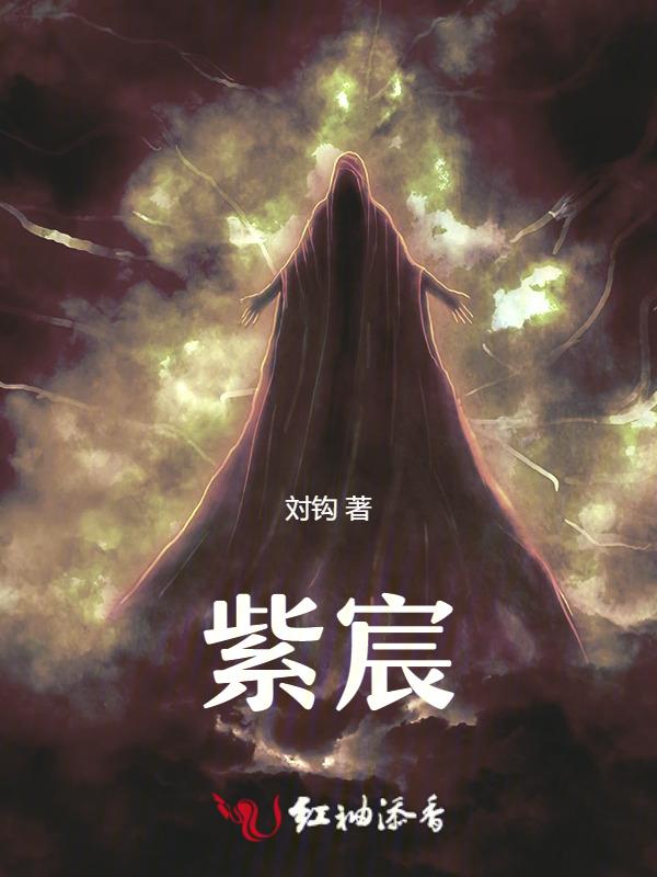 紫宸激光设备有限公司
