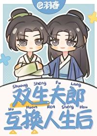 双生夫郎互换人生后全文免费阅读