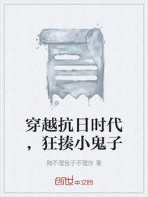 穿越抗日战争大全