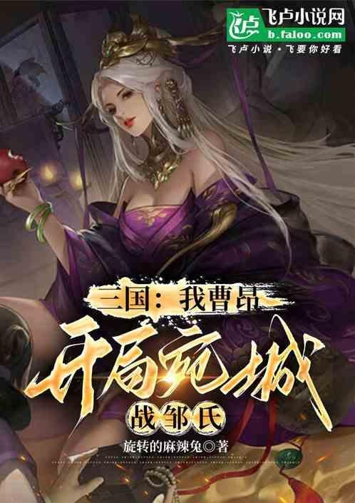 三国开局我在曹很低调