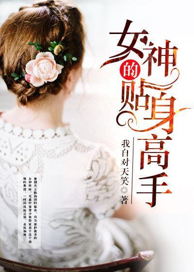 女神的贴身高手全文阅读