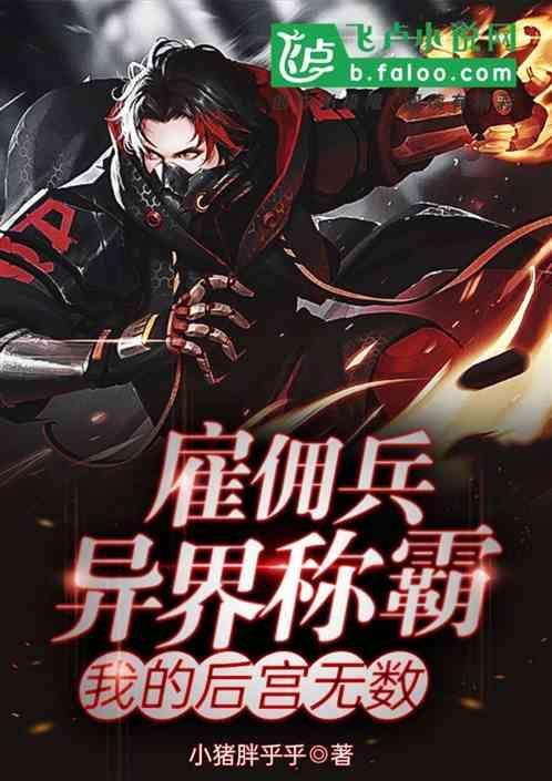 雇佣兵排行榜完本
