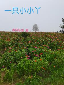 一只小小鸟儿歌歌词