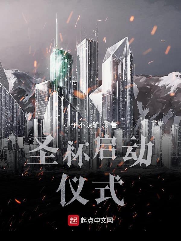 圣杯设定