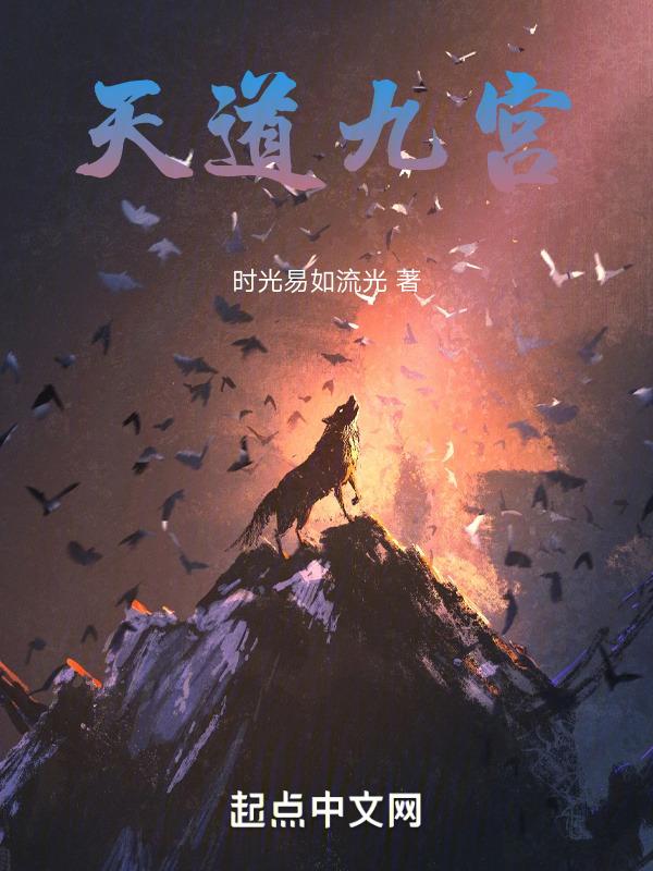 天道九宫 时光易如流光