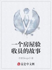 一个房屋验收员的故事视频