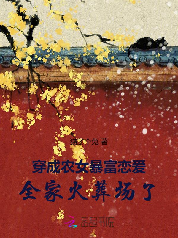 穿成农女怎么办作者stillhet