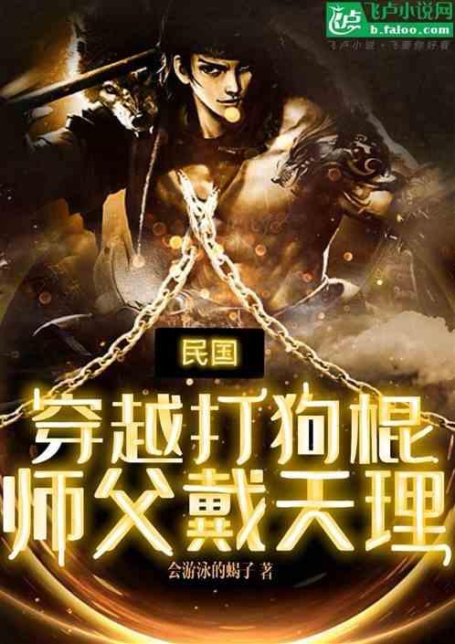 穿越打狗棍之抗日烽火作者东木火海