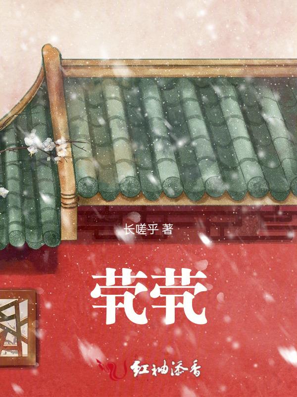 茕茕txt