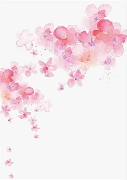 桃花朵桃花朵朵开