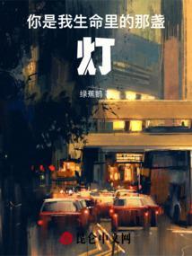 你是我生命里的那盏灯作文
