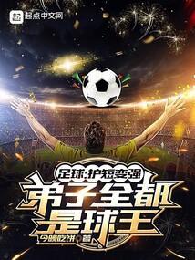 足球 护球