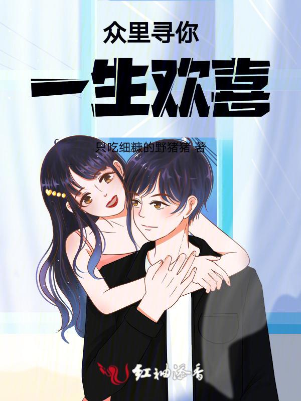 众里寻你歌曲的意思