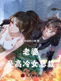 老婆是高手的