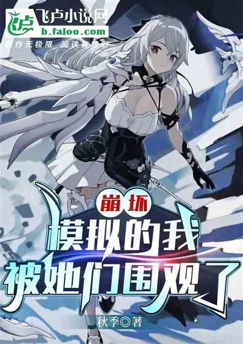 崩坏2崩坏模拟战s评分