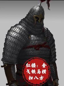 红楼金戈铁马横扫八方全文阅读