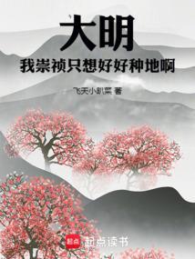 大明之我崇祯绝不上吊有声