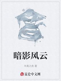 暗影之锋