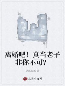离婚吧老子不干了陈泽渊叶澜之
