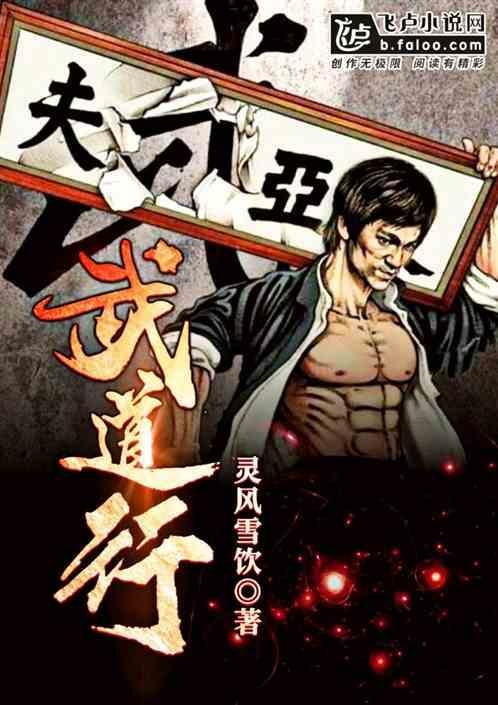 武道行g6破解版