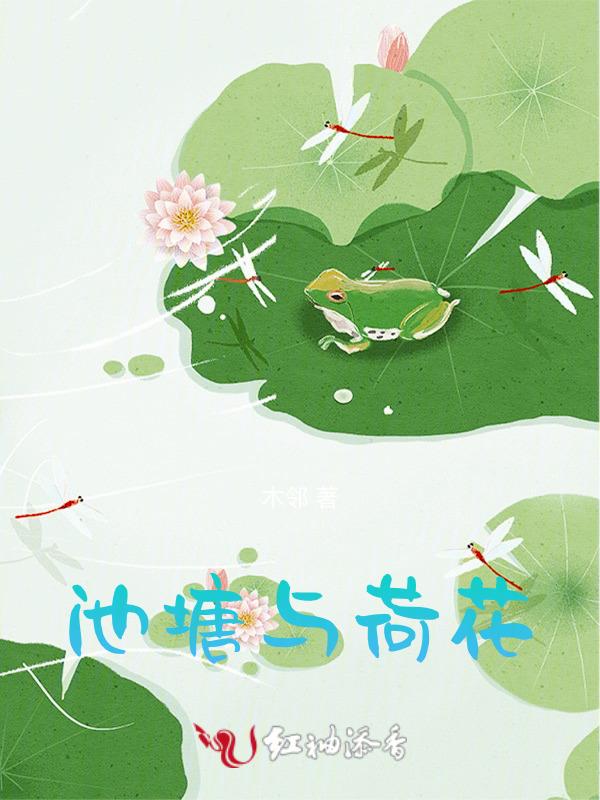 池塘荷花鸭子小鱼蝌蚪看图说话