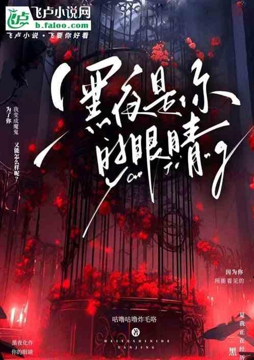 黑夜是你的白天